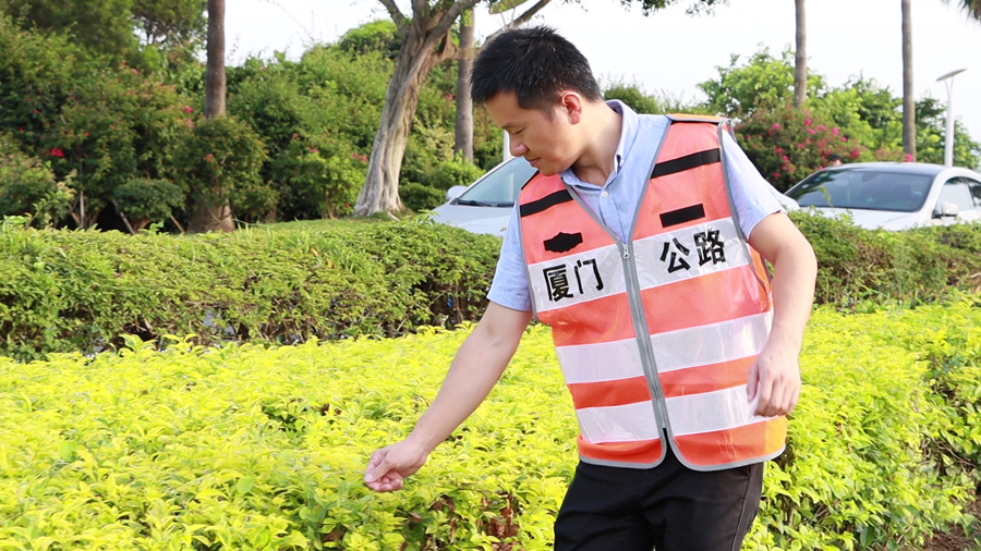 環(huán)島干道路長王兆樑巡查綠化帶。