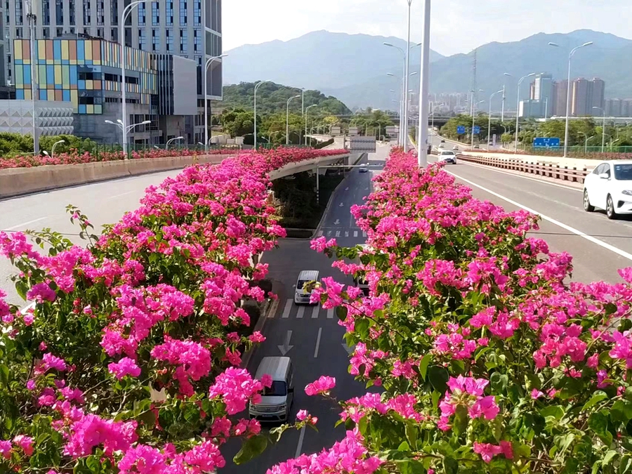 孚蓮路高架橋。