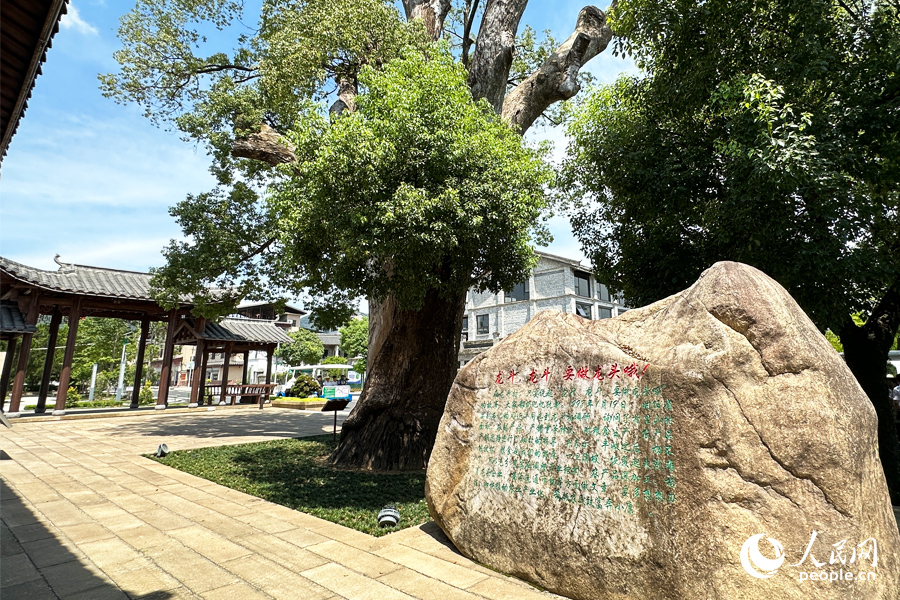 邵武市水北鎮(zhèn)龍斗村。人民網(wǎng)記者 劉卿攝