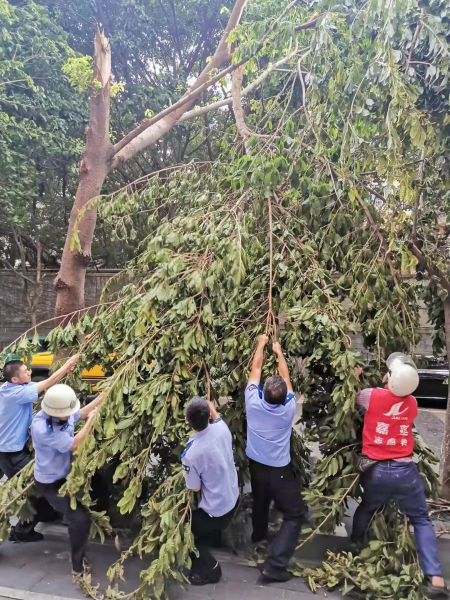 派出所民警和社區(qū)網(wǎng)格員及時(shí)清理掉落枯枝，確保道路暢通。嘉蓮街道供圖