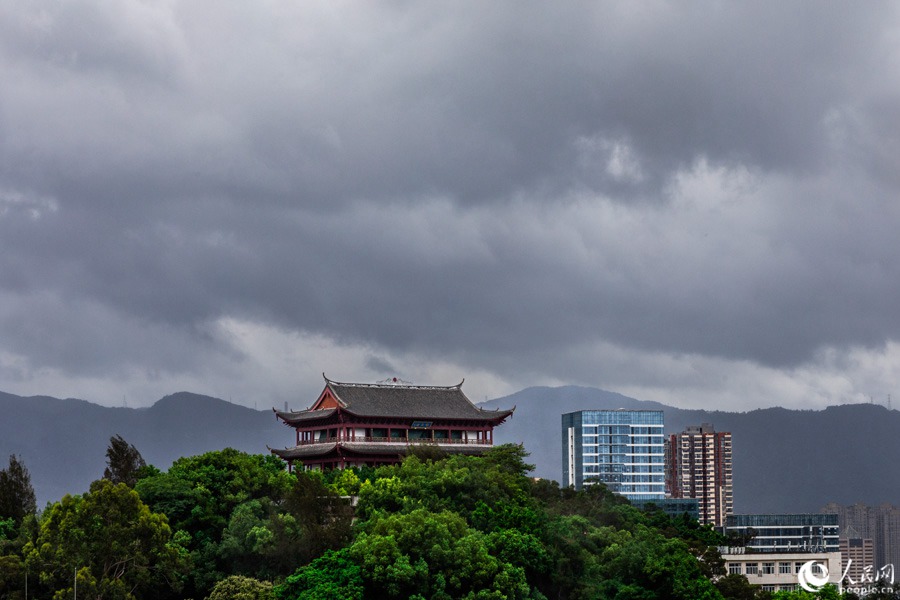 7月27日早晨，福州。人民網(wǎng) 焦艷攝