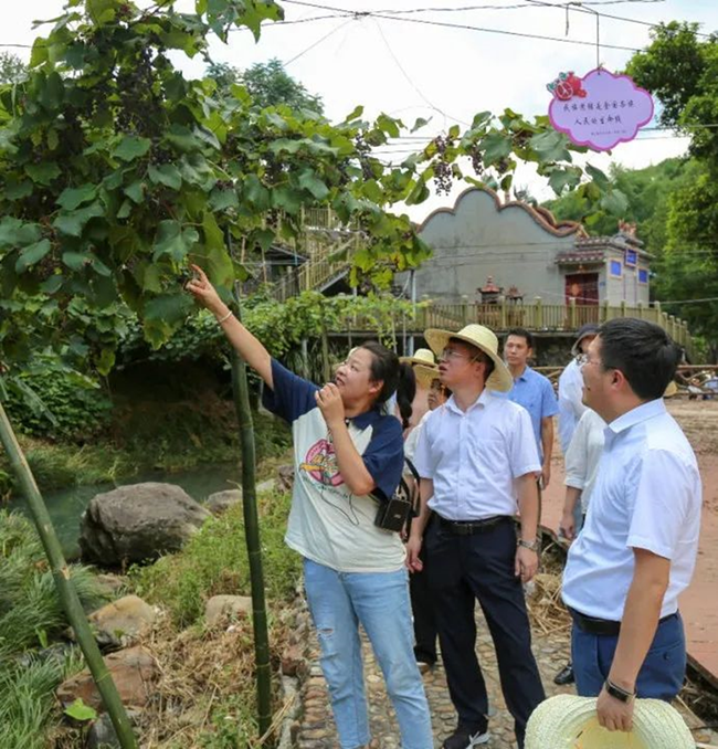 參觀葡萄溝。龍巖市委組織部供圖