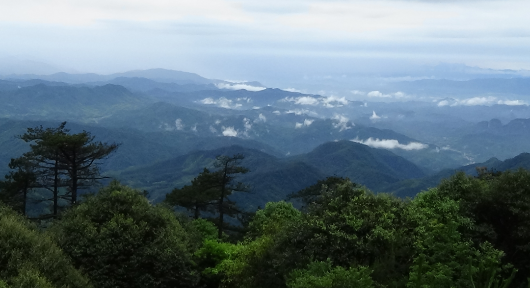 美麗的老盈山。連城縣委組織部供圖