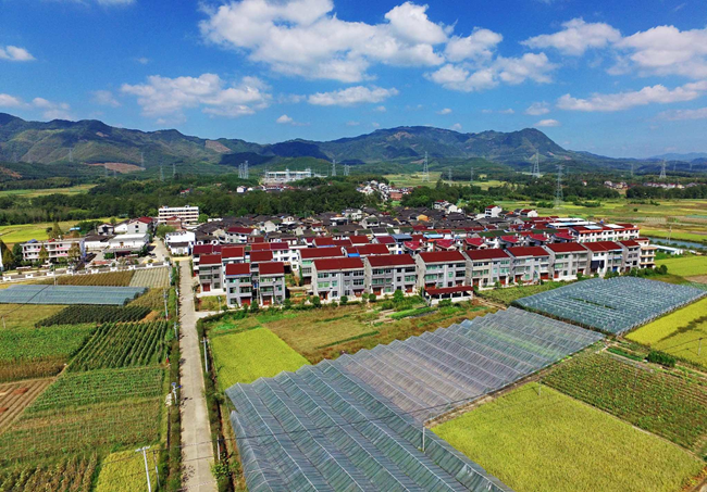 農(nóng)村宅基地規(guī)范管理效果。魏永青攝