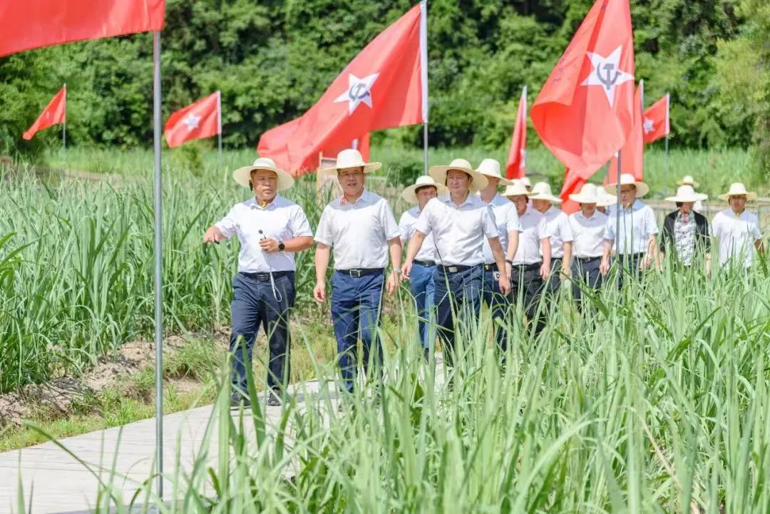 推動村集體和村民“雙增收”。