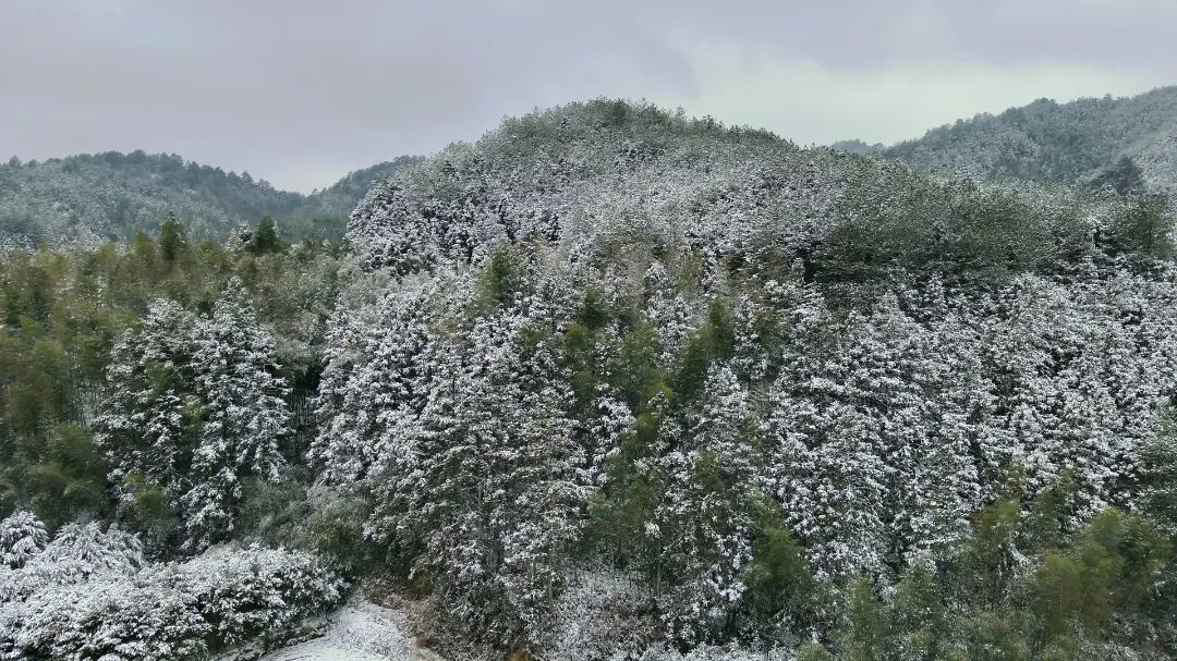 三明市寧化縣治平鄉(xiāng)湖背角村。王熤華攝