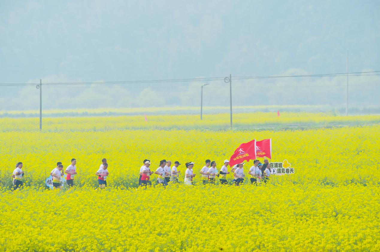 油菜花田健康跑。主辦方供圖