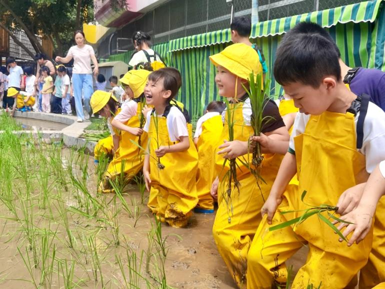 孩子們的插秧初體驗(yàn)。龍巖市婦聯(lián)供圖