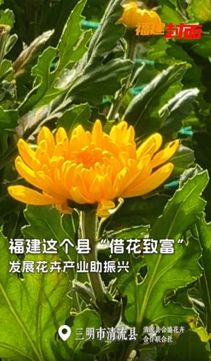 一年賣12億支花