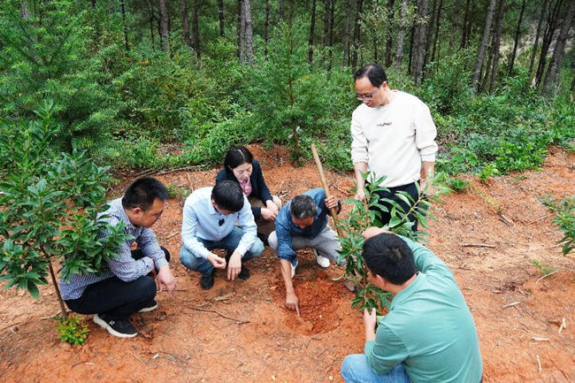 滬明兩地的食用菌專家在福建省尤溪縣森林居生態(tài)發(fā)展有限公司的松蔸茯苓種植基地現(xiàn)場指導(dǎo)