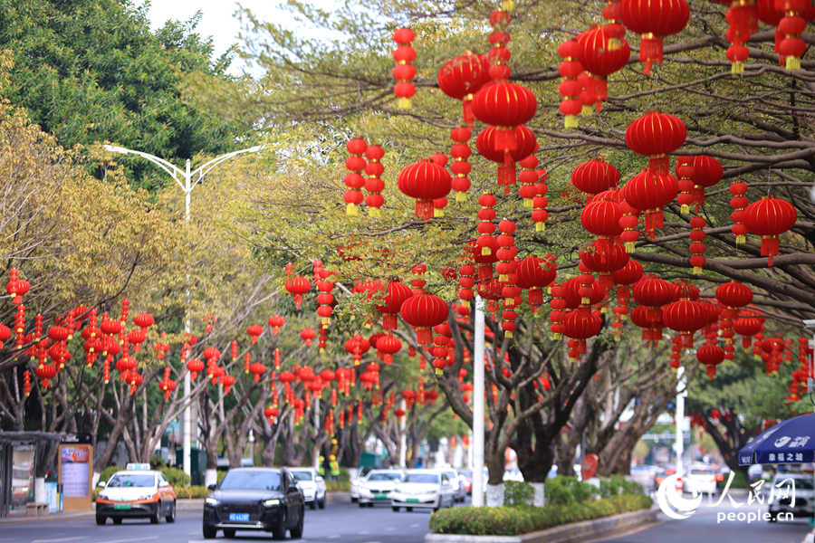 在位于廈門市思明區(qū)的湖濱北路，道路兩側(cè)掛滿了紅燈籠。人民網(wǎng)記者 陳博攝