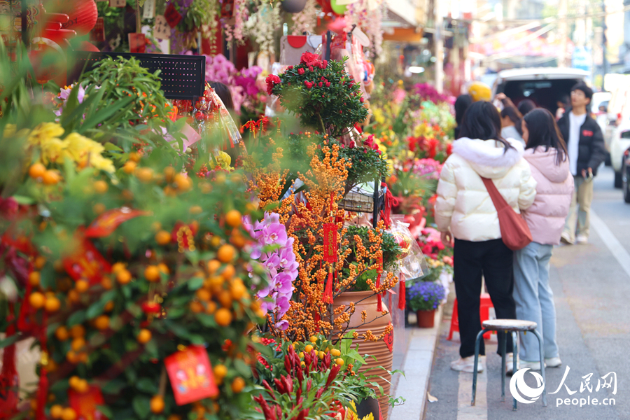 位于廈門市思明區(qū)溪岸路的花鳥市場人頭攢動(dòng)，熱鬧非凡。人民網(wǎng)記者 陳博攝