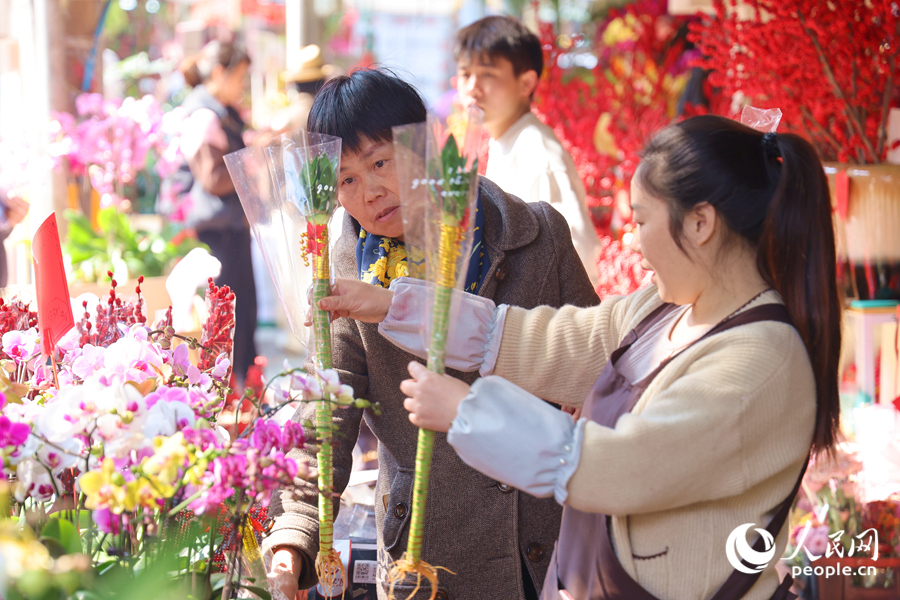 配有掛飾的龍竹象征著“節(jié)節(jié)高”，成為花市中的“搶手貨”。人民網(wǎng)記者 陳博攝