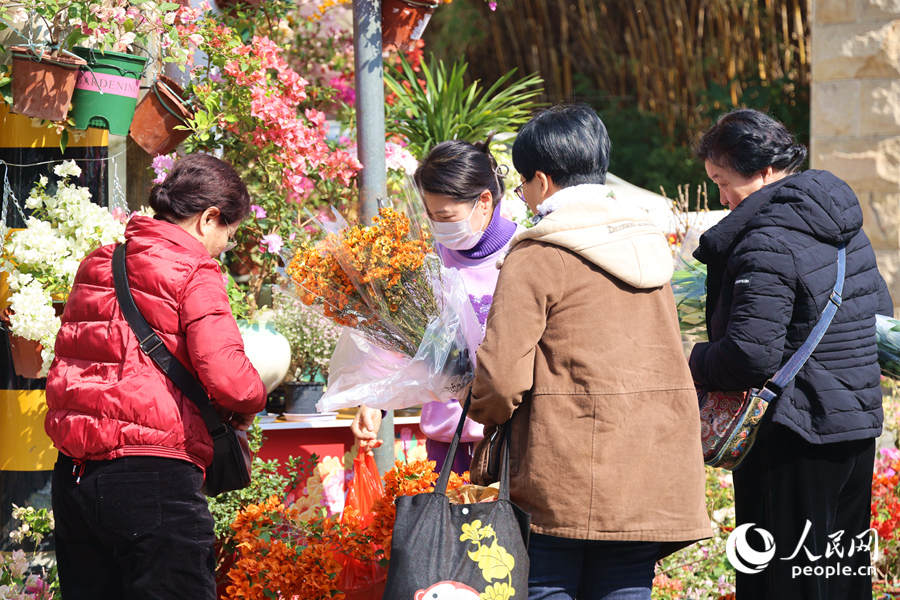 挑選干花的市民們與商家交流還價(jià)。人民網(wǎng)記者 陳博攝